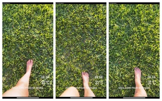 Sabrina Parlatore feet photo 6