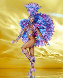 Sabrina Sato feet photo 14