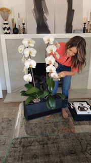 Sabrina Soto feet photo 6