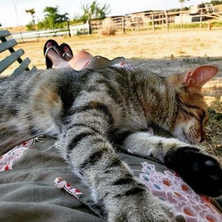 Sabrina Staubitz feet photo 1
