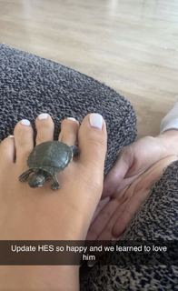 Sadie Mckenna feet photo thumbnail