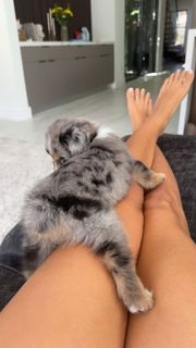 Sadie Mckenna feet photo thumbnail