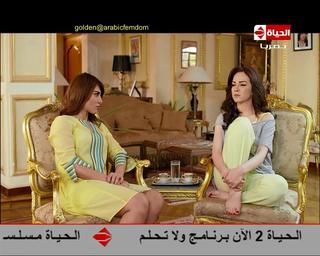 Safaa Sultan feet photo 20