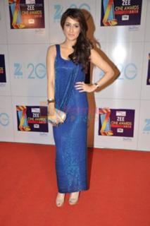 Sagarika Ghatge feet photo 8