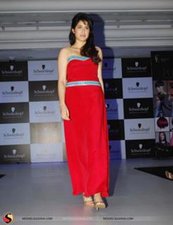 Sagarika Ghatge feet photo 13