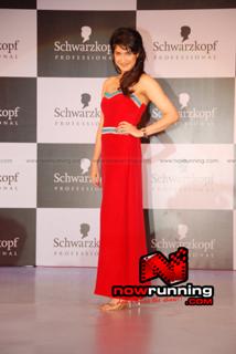 Sagarika Ghatge feet photo 8