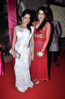 Sagarika Ghatge feet photo 13