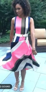 Sage Steele feet photo thumbnail