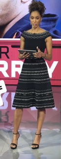 Sage Steele feet photo thumbnail