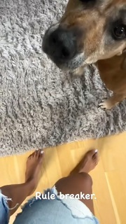 Sage Steele feet photo thumbnail