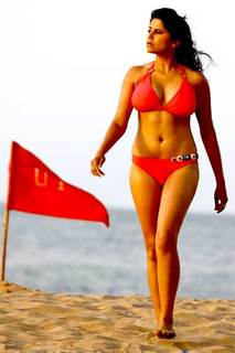 Sai Tamhankar feet photo 14
