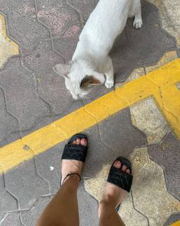 Sai Tamhankar feet photo 6