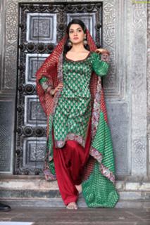 Sakshi Choudhary feet photo 16
