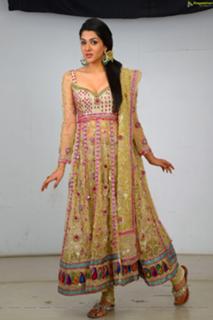 Sakshi Choudhary feet photo 19