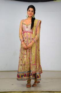 Sakshi Choudhary feet photo 16