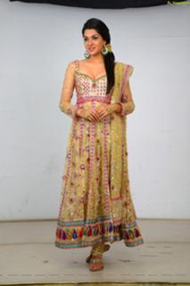 Sakshi Choudhary feet photo 15