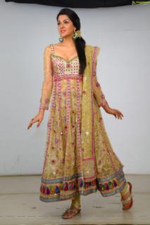 Sakshi Choudhary feet photo 14