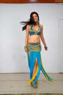 Sakshi Choudhary feet photo 13