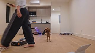 Sakura Shymko feet photo thumbnail