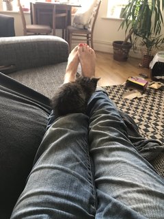 Sally Carman feet photo 19