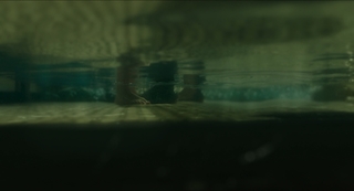 Sally Hawkins feet photo thumbnail