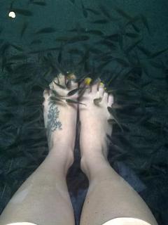 Sam Pinto feet photo 6