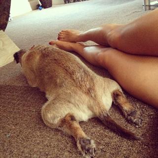 Sam Quek feet photo 2