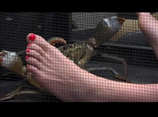 Sam Quek feet photo 6