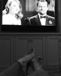 Sam Taylor-Johnson feet photo 17