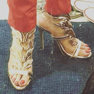 Saman Ansari feet photo 9