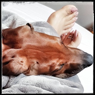 Saman Ansari feet photo 19