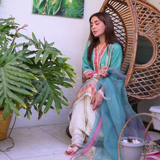 Saman Ansari feet photo 19
