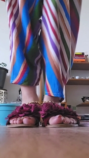 Saman Ansari feet photo 13