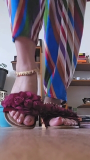 Saman Ansari feet photo 11