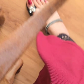 Saman Ansari feet photo 8