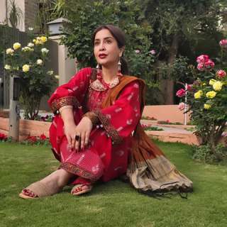 Saman Ansari feet photo 16