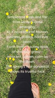 Saman Ansari feet photo 11