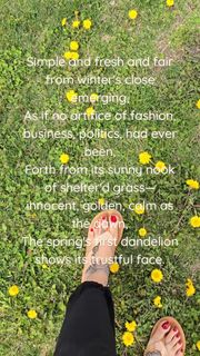 Saman Ansari feet photo 10