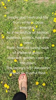 Saman Ansari feet photo 6