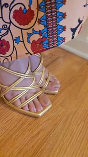 Saman Ansari feet photo 19