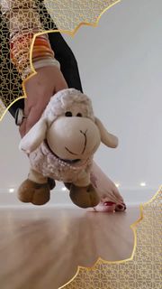 Saman Ansari feet photo 1