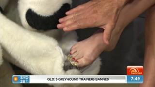 Samantha Armytage feet photo 15
