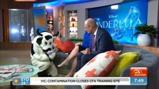 Samantha Armytage feet photo 12