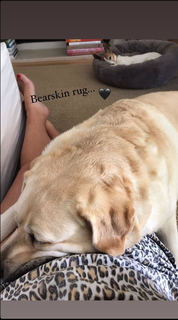 Samantha Armytage feet photo 9