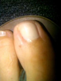 Samantha Bee feet photo 5
