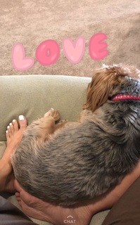 Samantha Belbel feet photo 13