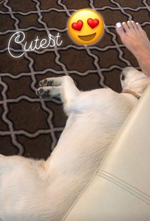 Samantha Belbel feet photo 12