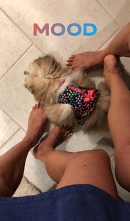 Samantha Belbel feet photo 8
