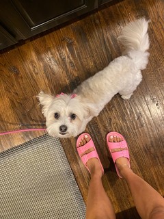 Samantha Belbel feet photo 6