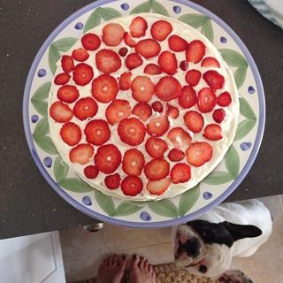 Samantha Boscarino feet photo 6